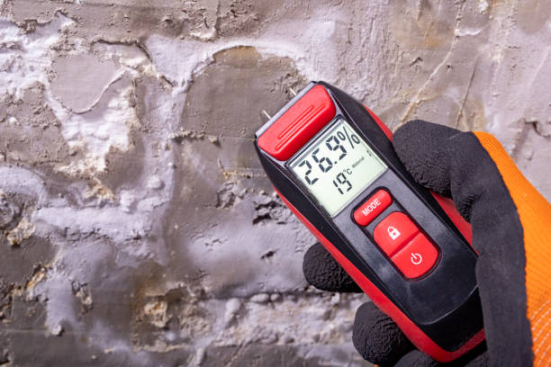 Best Black Mold Removal  in Mayfield, PA