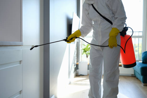 Best Certified Mold Removal  in Mayfield, PA